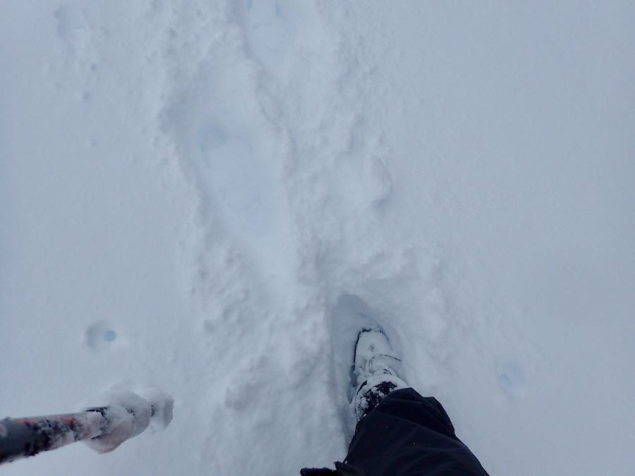 雪が深くなり、スパッツを忘れたので靴に雪が入り込む